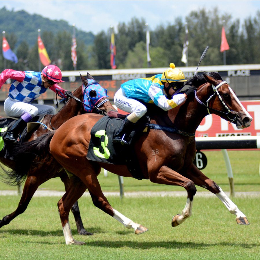 Raceday Information