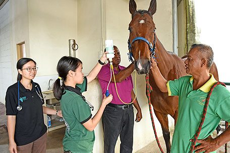 Training Vet 3